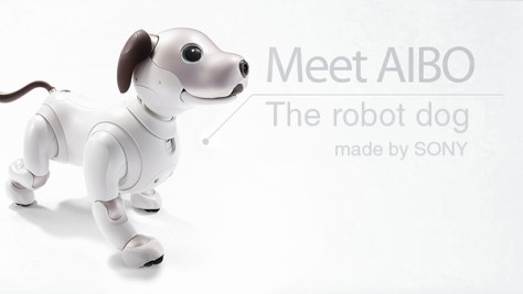 Aibo : le nouveau chien robot de Sony, adopté par ses maîtres